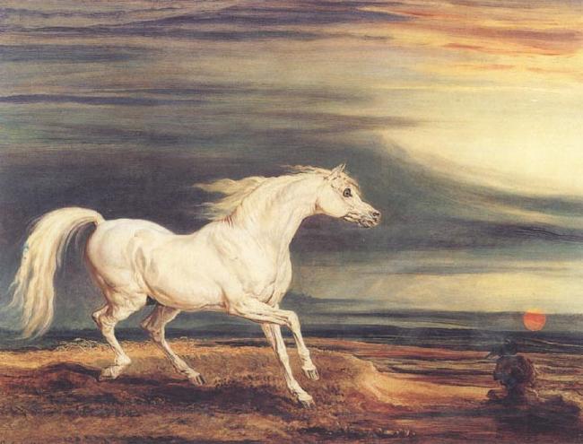 James Ward Napoleon's Horse,Marengo at Waterloo Sweden oil painting art